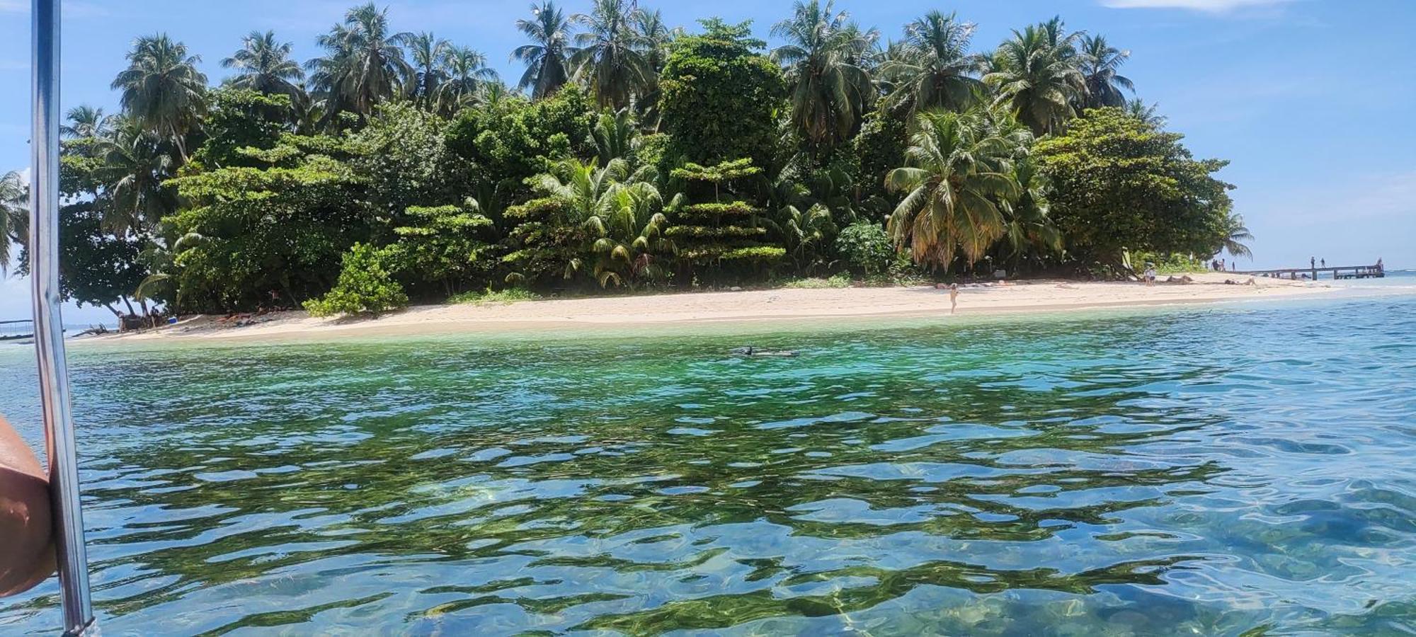 Bambu Lounge Bocas Hostel بوكاس تاون المظهر الخارجي الصورة