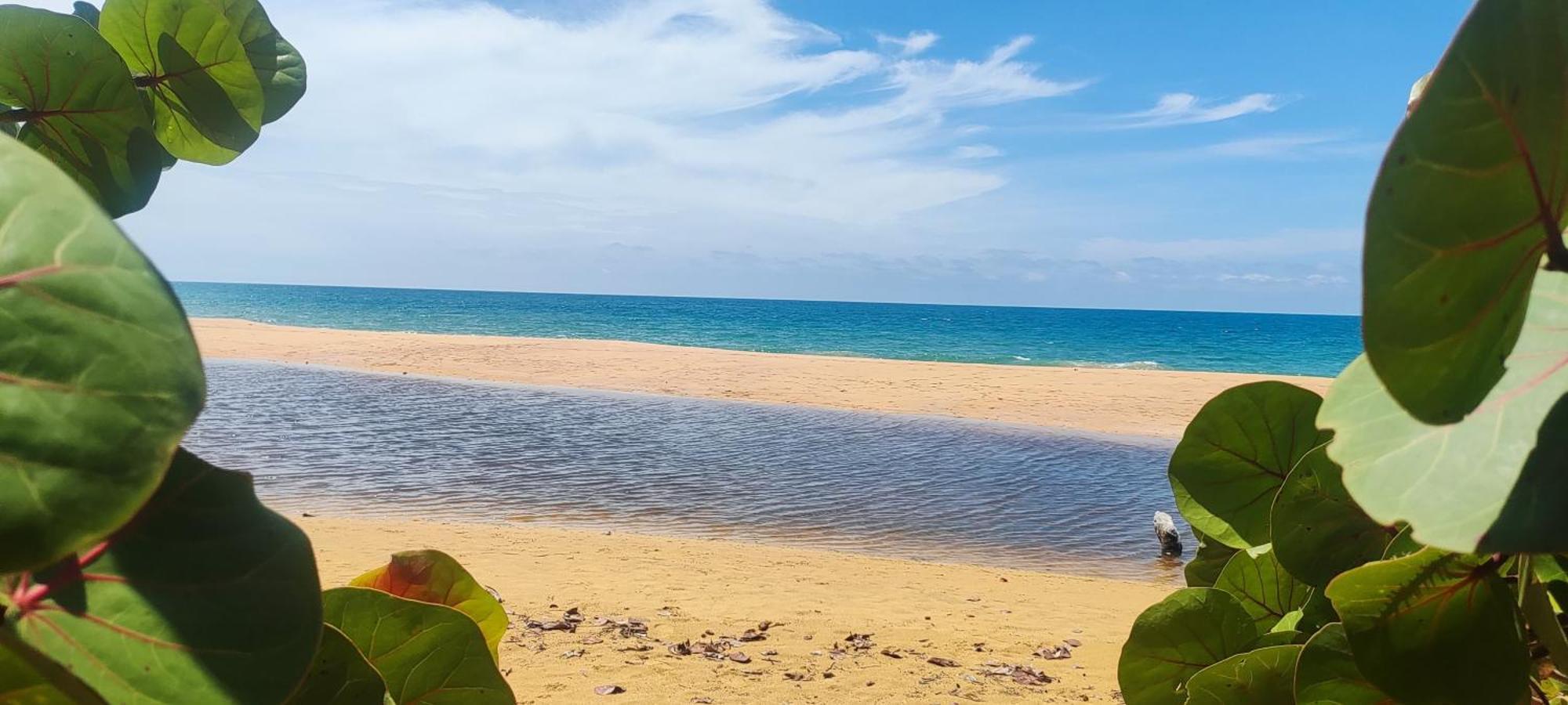 Bambu Lounge Bocas Hostel بوكاس تاون المظهر الخارجي الصورة