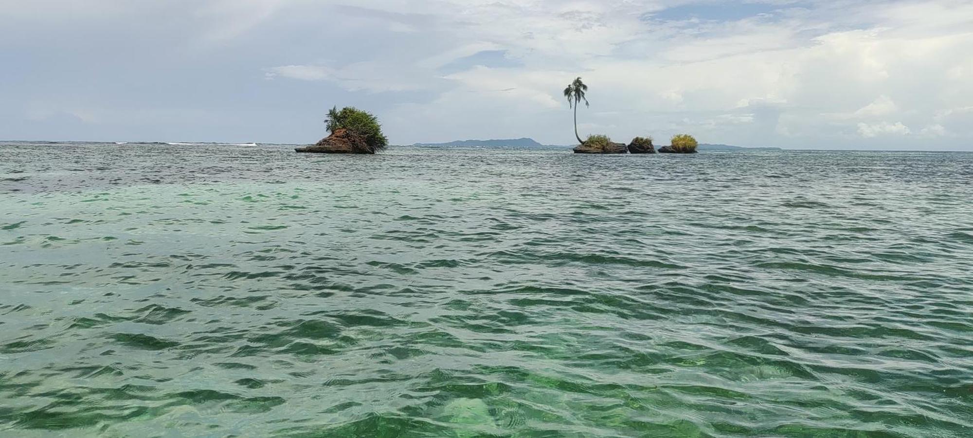 Bambu Lounge Bocas Hostel بوكاس تاون المظهر الخارجي الصورة