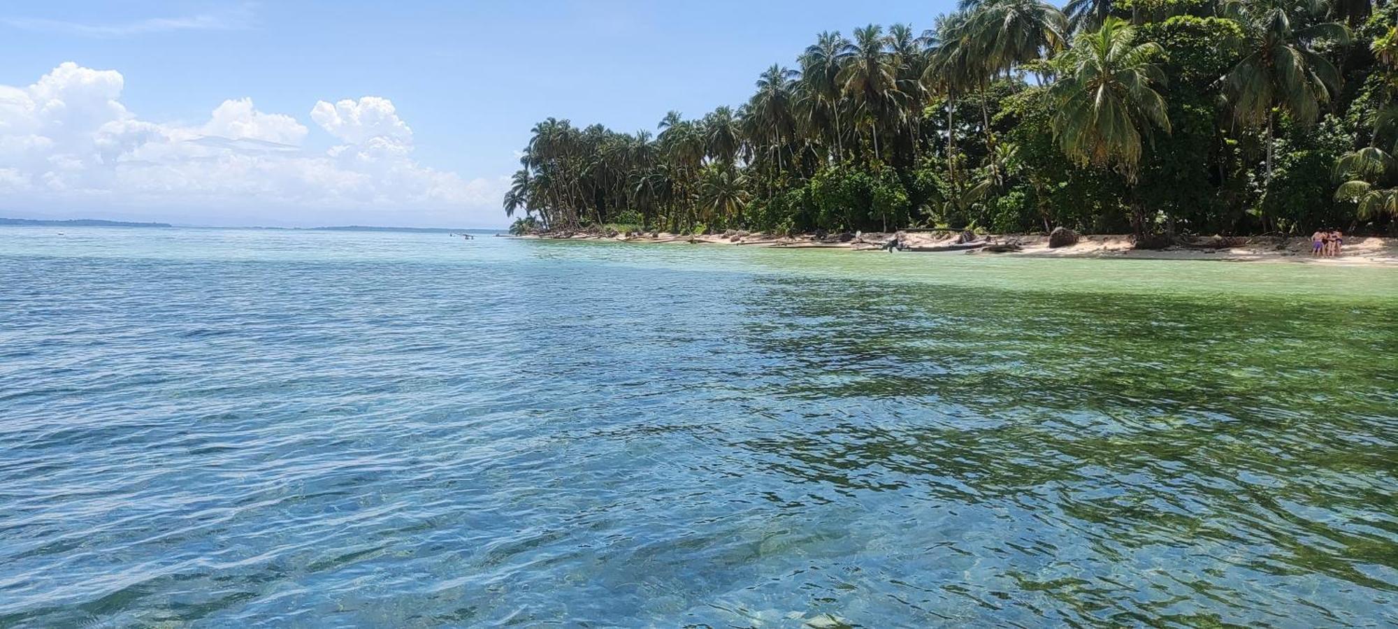 Bambu Lounge Bocas Hostel بوكاس تاون المظهر الخارجي الصورة