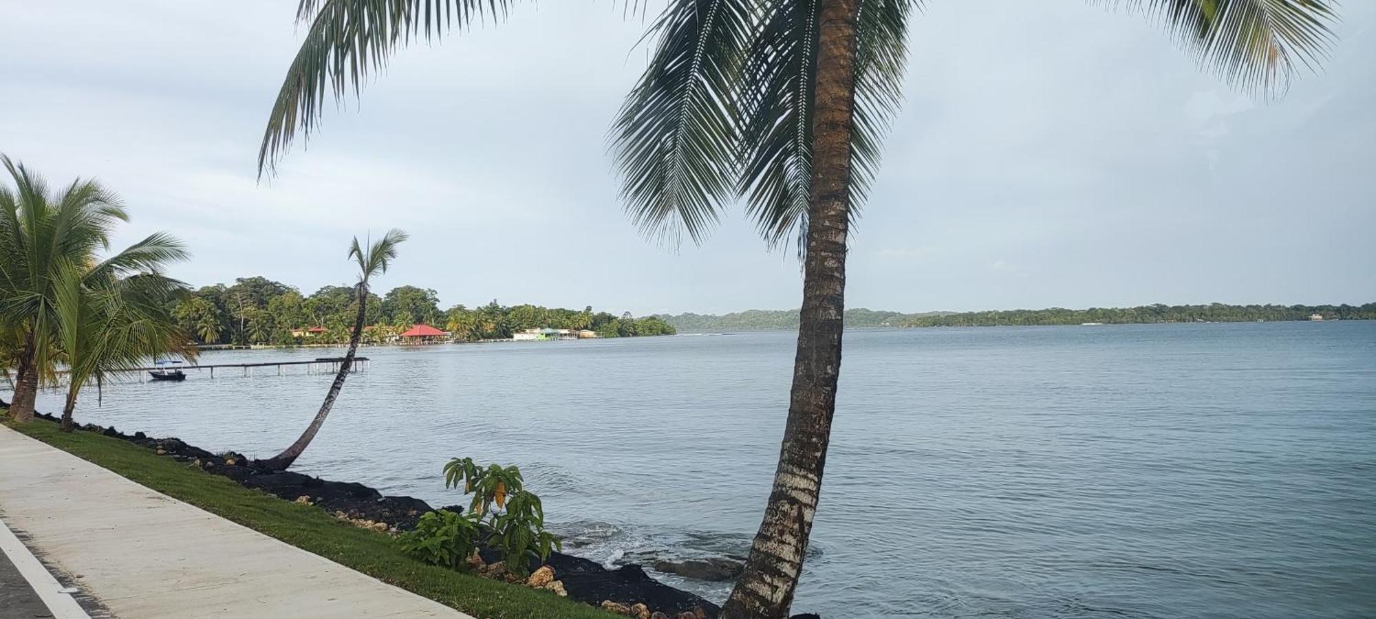 Bambu Lounge Bocas Hostel بوكاس تاون المظهر الخارجي الصورة