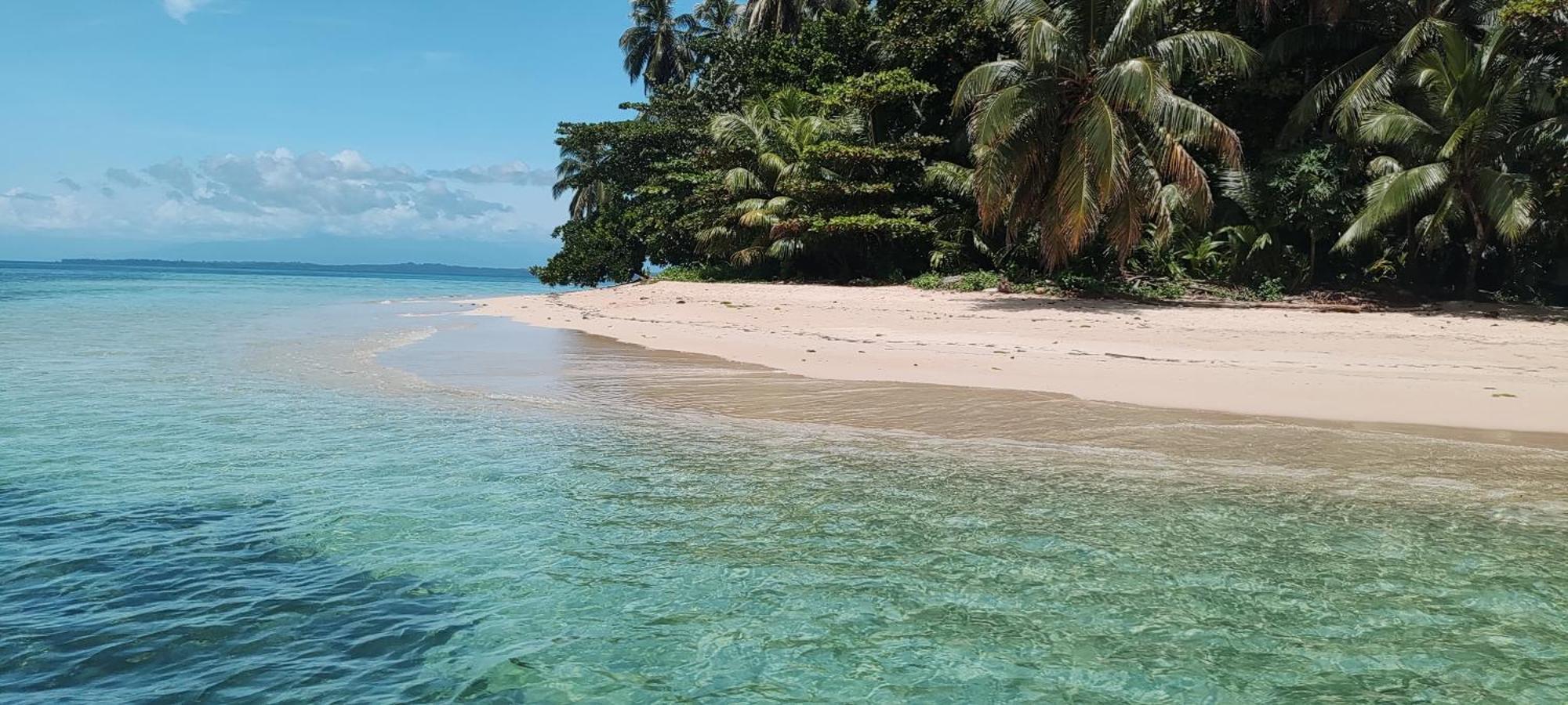 Bambu Lounge Bocas Hostel بوكاس تاون المظهر الخارجي الصورة