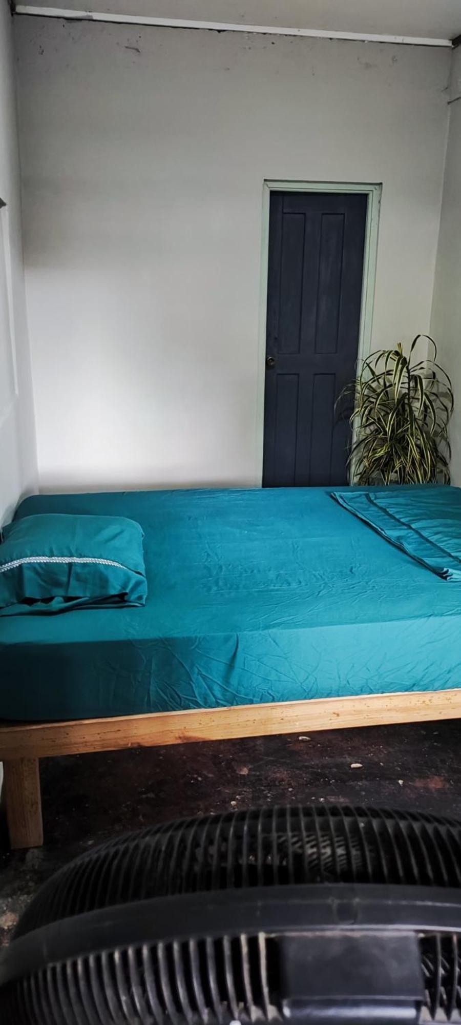 Bambu Lounge Bocas Hostel بوكاس تاون المظهر الخارجي الصورة